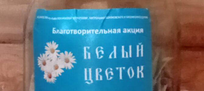 «Белый цветок»